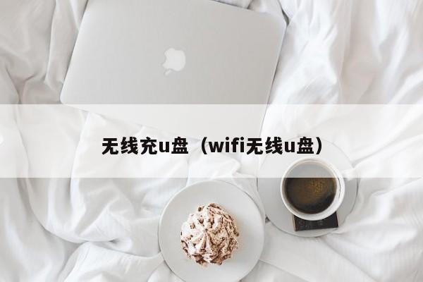 无线充u盘(wifi无线u盘)