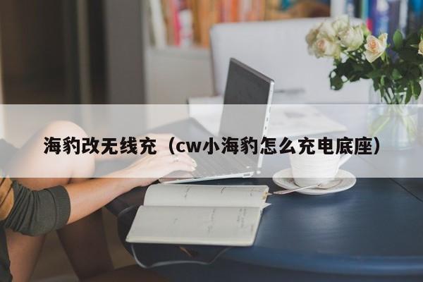 海豹改无线充(cw小海豹怎么充电底座)