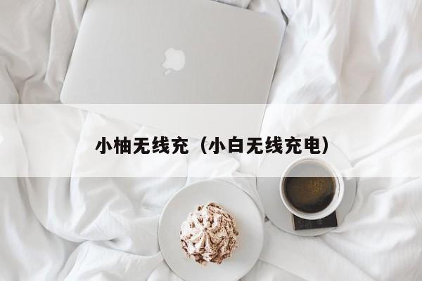 小柚无线充(小白无线充电)