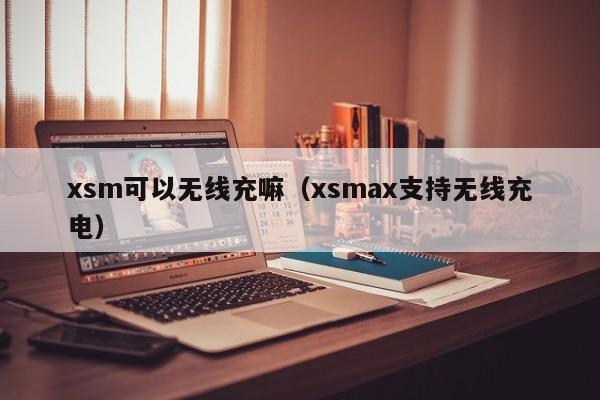 xsm可以无线充嘛(xsmax支持无线充电)