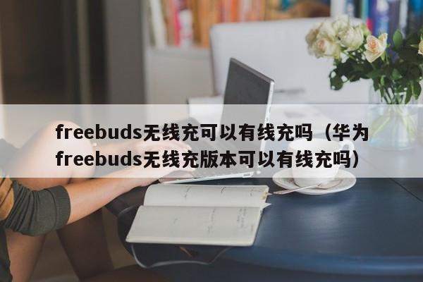 freebuds无线充可以有线充吗(华为freebuds无线充版本可以有线充吗)